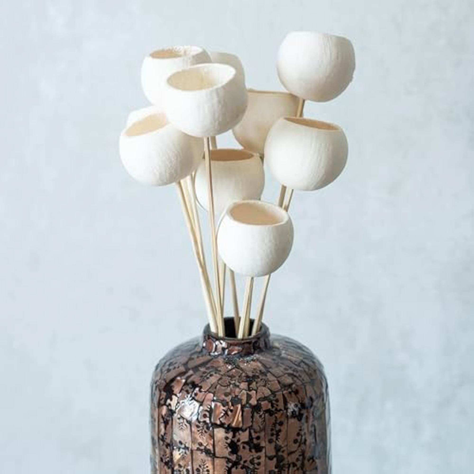 White Bel Cup Sticks (Set of 10) | Natural Dried Flower